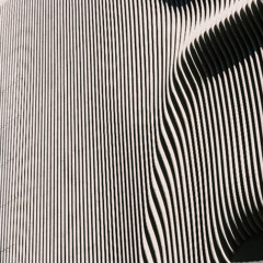 sine society