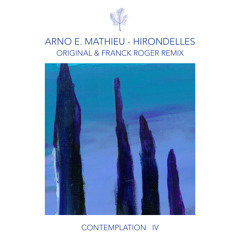 Hirondelles (Franck Roger Remix)