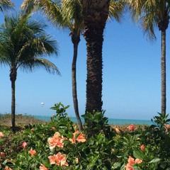 Elton John Lil Phag ft Tana Mongeau