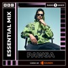 PAWSA ESSENTIAL MIX 2024 DJ mix artwork - Electronic music tracklist cover image