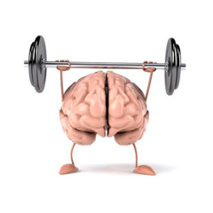 memoria muscular