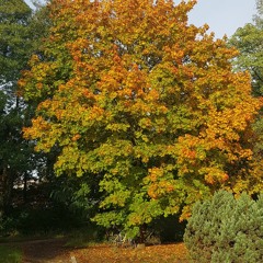 The distance between us.