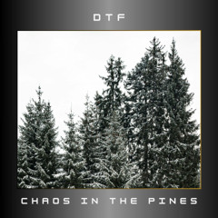 Chaos in the Pines (Feb 28, 2025) - Val des Lacs, QC