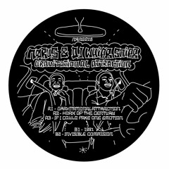 TL PREMIERE : Nørus & DJ Whipr Snipr - Gravitational Attraction [Nerang Recordings]