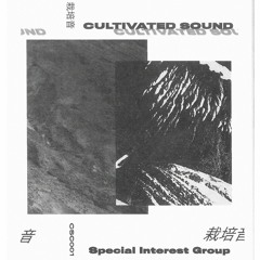 ND-81 [from Cultivated Sound Comp, Special Interest Group]