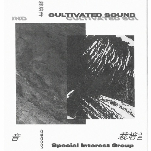 ND-81 [from Cultivated Sound Comp, Special Interest Group]
