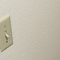 white pedals from the autumn trees