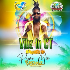 VIBZ IN CT PROMO MIX.mp3