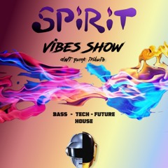 Spirit Vibes Show #10 (Daft Punk Tribute)| Wild1Radio