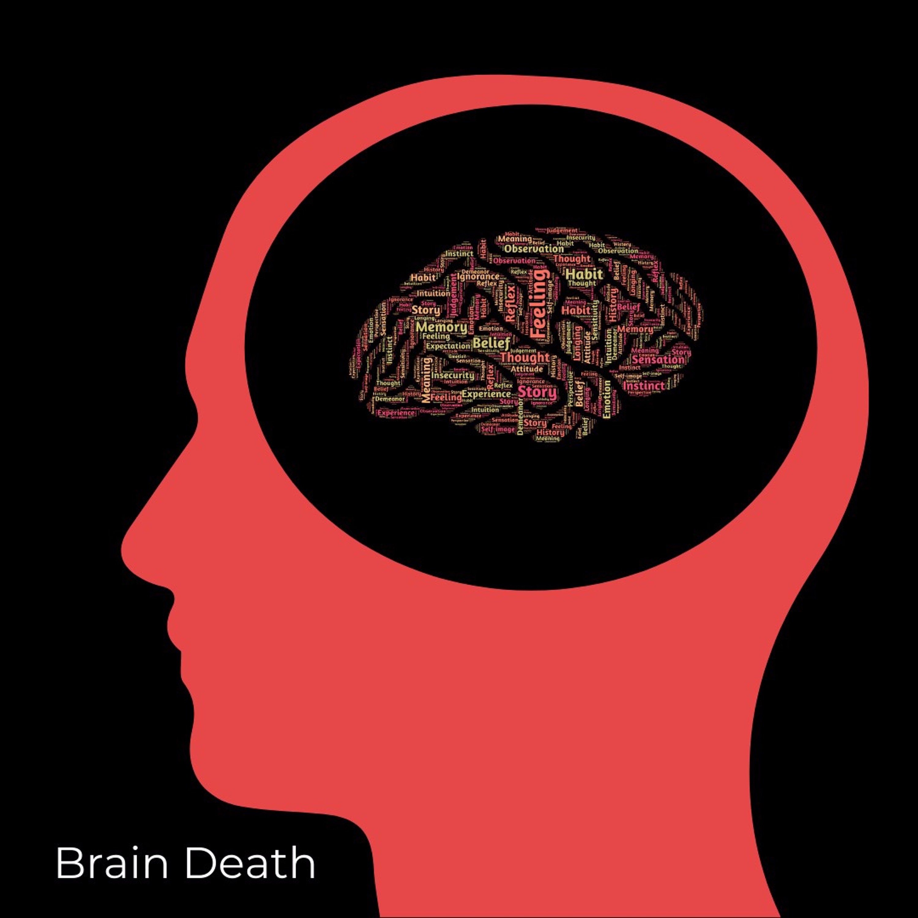 Episode 54: Brain Death - When Exactly are you Dead?