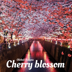 Cherry blossom