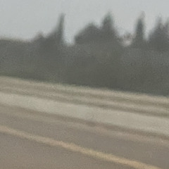 ששון איפרם שאולוב - כשיגמר לכם הקיץ 🏝