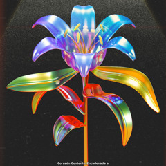 Corazón Contento Encadenada A