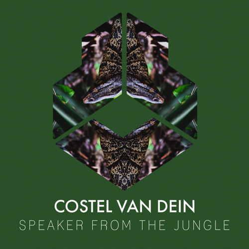 Costel Van Dein - Speaker From The Jungle