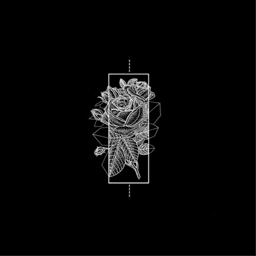 CODY WONG - BUZZ JUNKIE