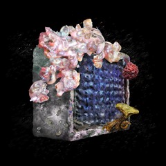 xtclvr - xtra clover