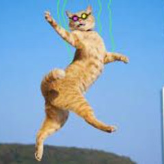 MEOW SHOT