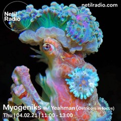 Myogeniks w/ Yeahman (Ostriconi in Focus)