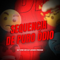 SEQUENCIA DE PURO ODIO - DJ LEMES PROD & DJ VINI MS (FT MC MAGRINHO & FAELZIN)