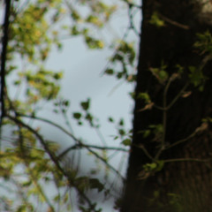 no matter where you go, you end up back here