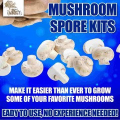 Mushroom spore spawn growing kits