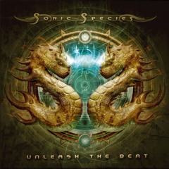 Spice Travel (Original Mix)