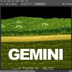 Gemini