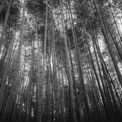 YARNcast 067 - Combined Type