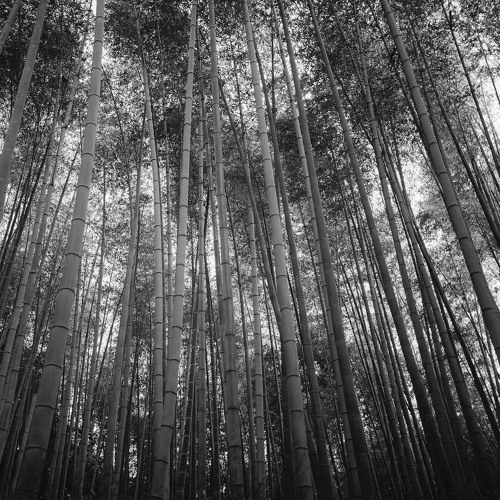 YARNcast 067 - Combined Type