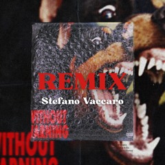 Offset & Metro Boomin - "Ric Flair Drip" STEFANO VACCARO - REMIX -