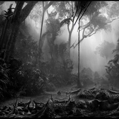 - jungle elements - deep dubstep mix -