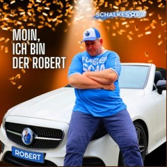 Moin, Ich Bin Der Robert