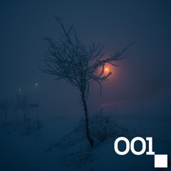 SAVSEBEAT 001 – House & Progressive Session