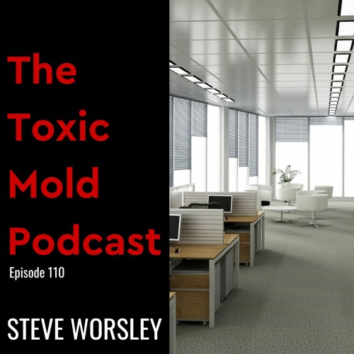 EP 110: How Do Companies Mitigate Mold?