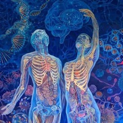 CIRCUITOS DIMENSIONALES DJset 2025 (Hitech)