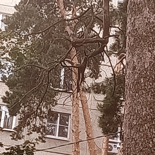 black birds cry dreamer of secrets.mp3