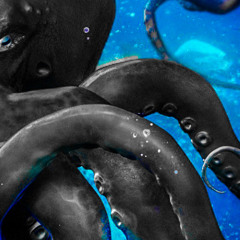 Deep blue ocean_cut preview 02 - ( idancer remix)