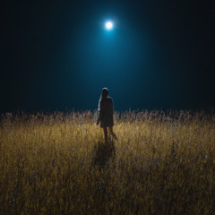 MOONLIGHT ft. patema (prod. fetile)