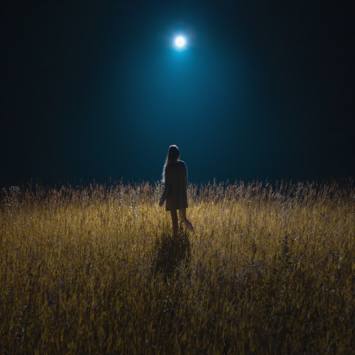 MOONLIGHT ft. patema (prod. fetile)