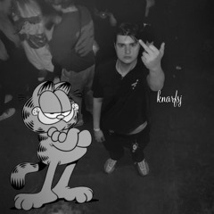 GNARFFIELD