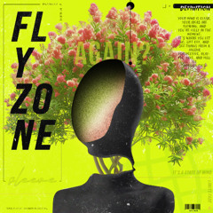 Flyzone - SleeveMadeItSlap