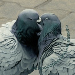 LOOM #6 PLAYLIST_LOOOOOOOOOOOOMING