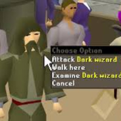 Dark Wizard