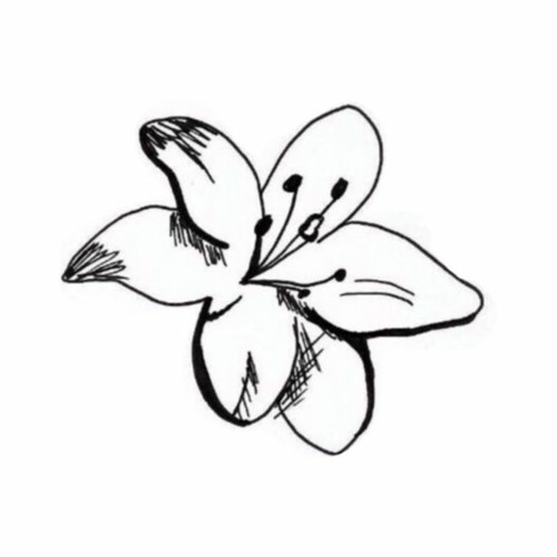 01 WeAreLilies Mix