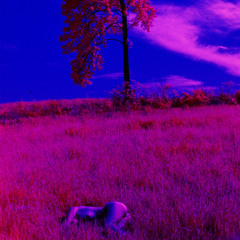 CityOfAngels(rough mix)