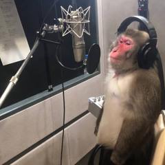 NEM EM DIAS DE CHUVA