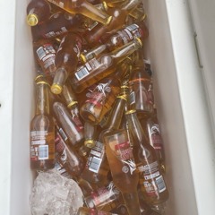 𝐕𝐈𝐁𝐄𝐒 𝟐𝟎𝟐𝟓🤙🔥