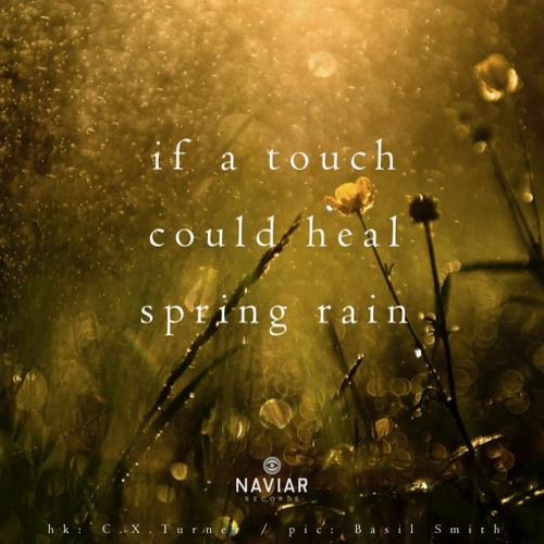 Healing Spring Rain [NaviarHaiku433]
