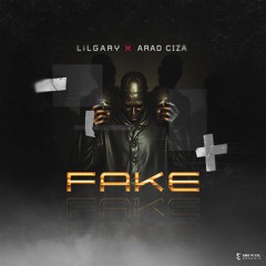Fake (feat. Arad ciza)