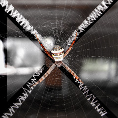 Apollonia's Kiss - Aller-Retour Remix